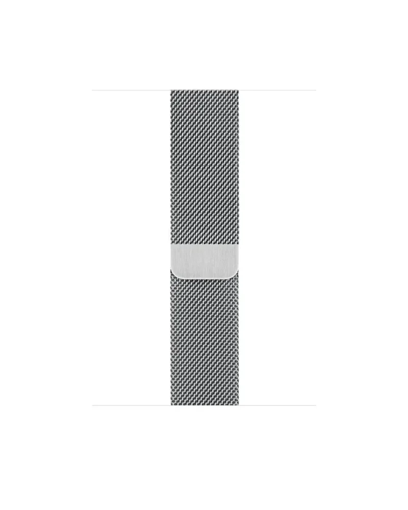 Alternative view of Milanese Loop - Silver